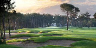 Montgomerie Course