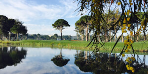 Kaya Palazzo Golf Club - Image 1