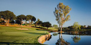 Los Noranjos Golf Club 5