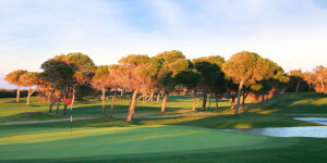 Titanic Golf Club - Image 5